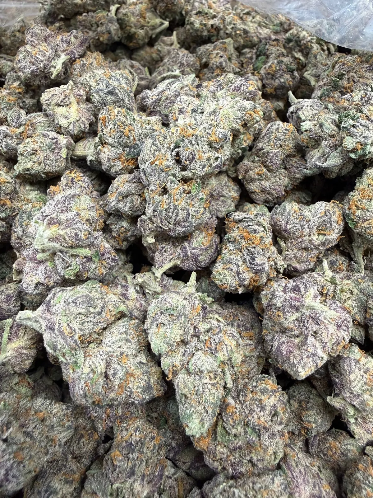 Grape Gas Packaged Flower